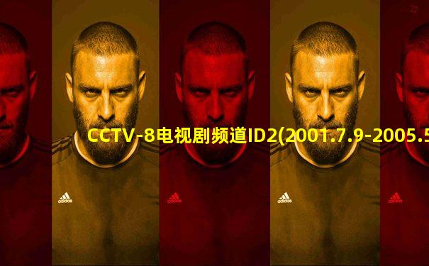 CCTV-8电视剧频道ID2(2001.7.9-2005.5.6)