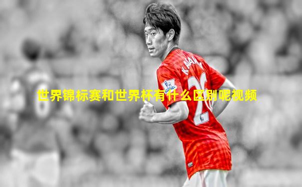 世界锦标赛和世界杯有什么区别呢视频
