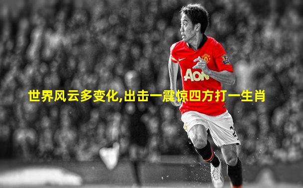世界风云多变化,出击一震惊四方打一生肖