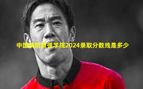 中国消防救援学院2024录取分数线是多少