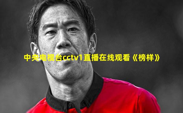 中央电视台cctv1直播在线观看《榜样》