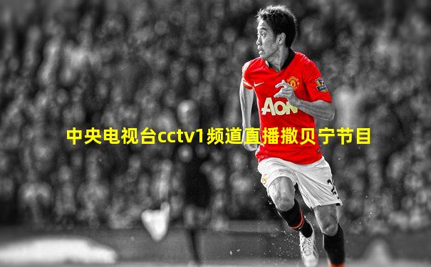 中央电视台cctv1频道直播撒贝宁节目