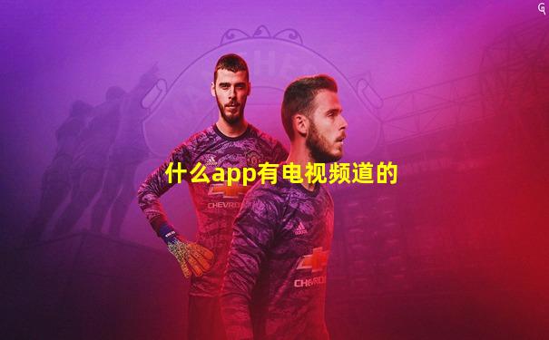什么app有电视频道的