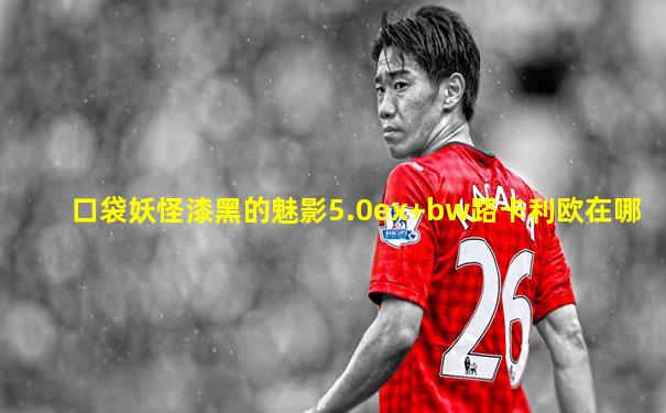 口袋妖怪漆黑的魅影5.0ex+bw路卡利欧在哪