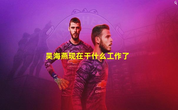 吴海燕现在干什么工作了