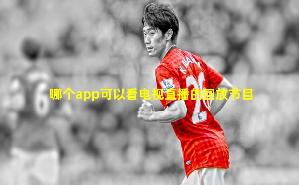 哪个app可以看电视直播的回放节目
