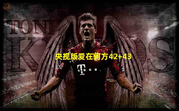 央视版爱在何方42+43