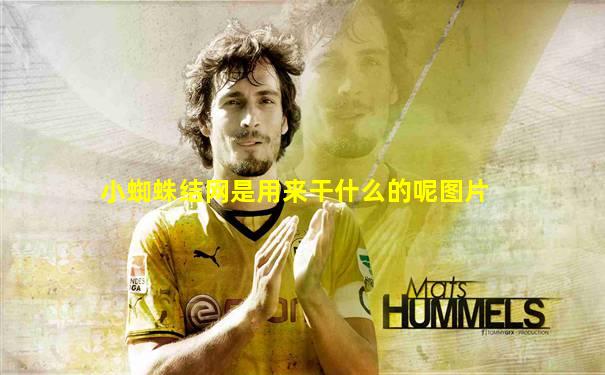 小蜘蛛结网是用来干什么的呢图片