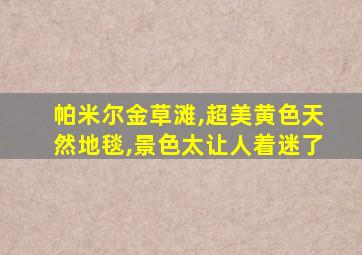 帕米尔金草滩,超美黄色天然地毯,景色太让人着迷了