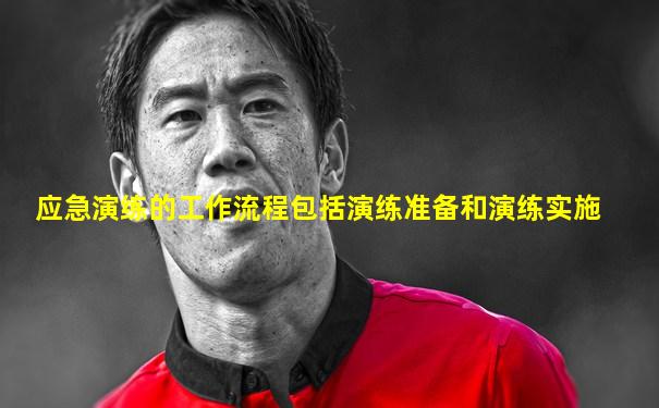 应急演练的工作流程包括演练准备和演练实施