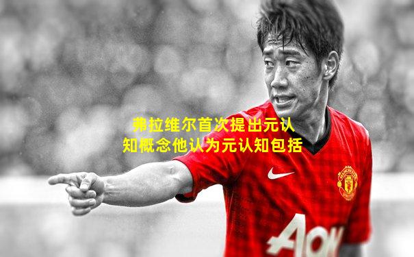 弗拉维尔首次提出元认知概念他认为元认知包括