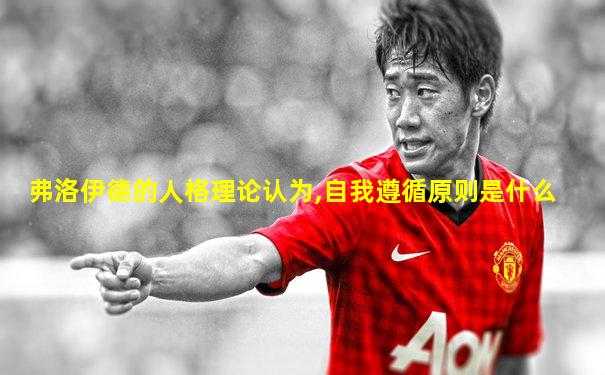 弗洛伊德的人格理论认为,自我遵循原则是什么