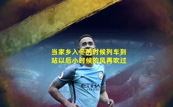 当家乡入冬的时候列车到站以后小时候的风再吹过