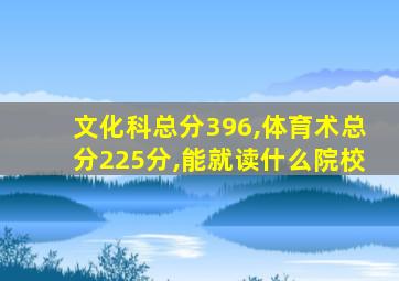 文化科总分396,体育术总分225分,能就读什么院校
