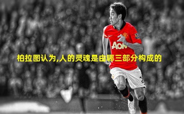 柏拉图认为,人的灵魂是由哪三部分构成的