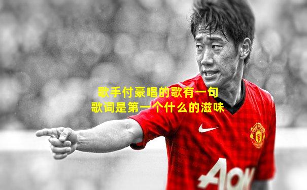 歌手付豪唱的歌有一句歌词是第一个什么的滋味