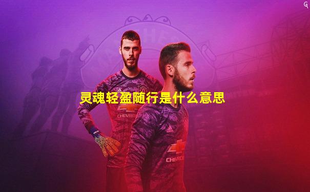 灵魂轻盈随行是什么意思
