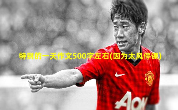 特别的一天作文500字左右(因为太风停课)