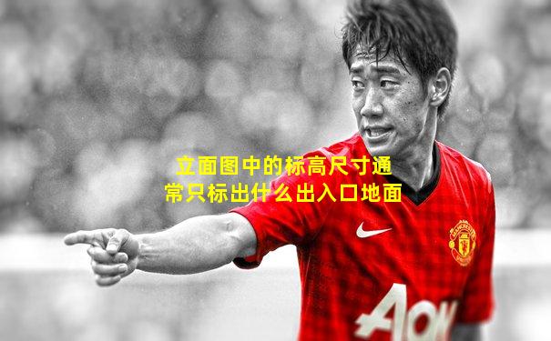 立面图中的标高尺寸通常只标出什么出入口地面
