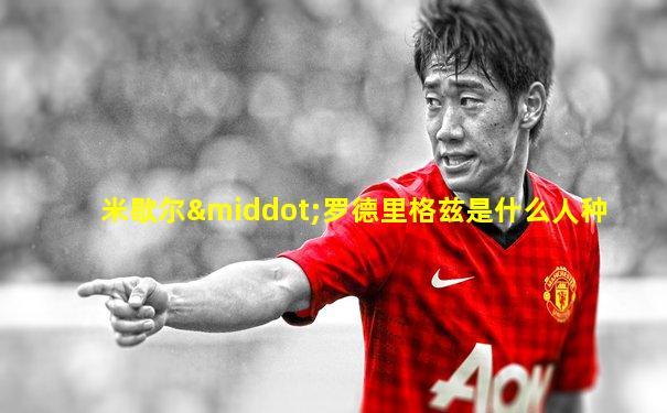 米歇尔·罗德里格兹是什么人种