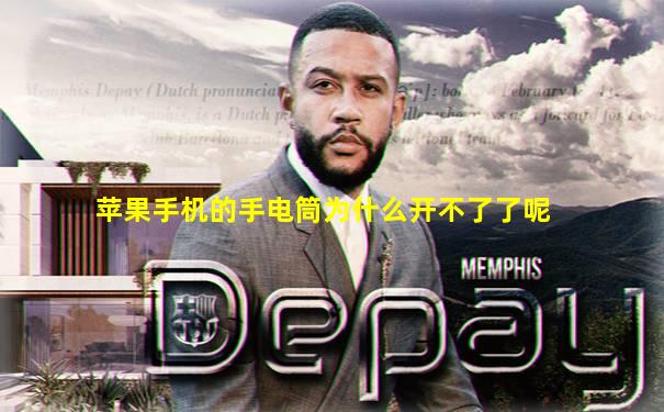 苹果手机的手电筒为什么开不了了呢