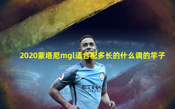 2020蒙塔尼mgl适合配多长的什么调的竿子