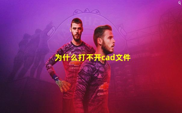 为什么打不开cad文件