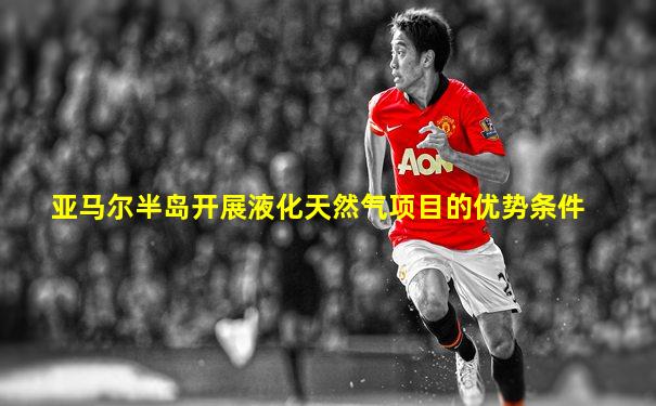 亚马尔半岛开展液化天然气项目的优势条件