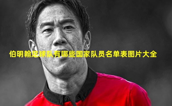 伯明翰足球队有哪些国家队员名单表图片大全