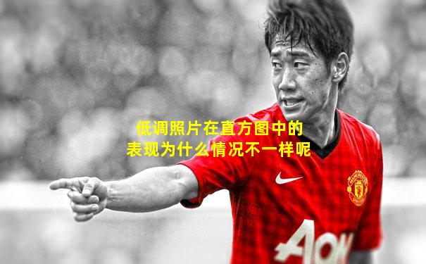 低调照片在直方图中的表现为什么情况不一样呢