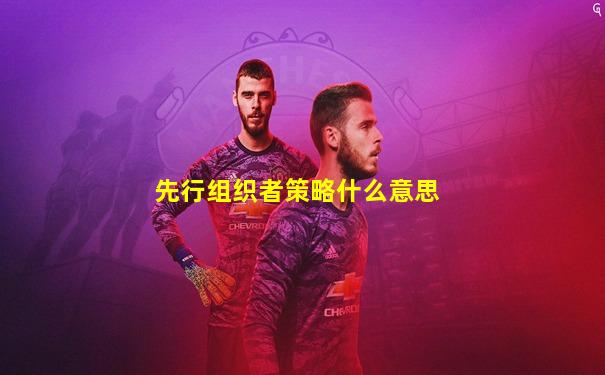 先行组织者策略什么意思