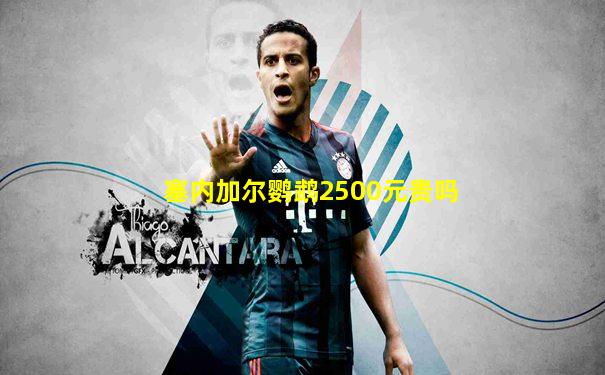 塞内加尔鹦鹉2500元贵吗