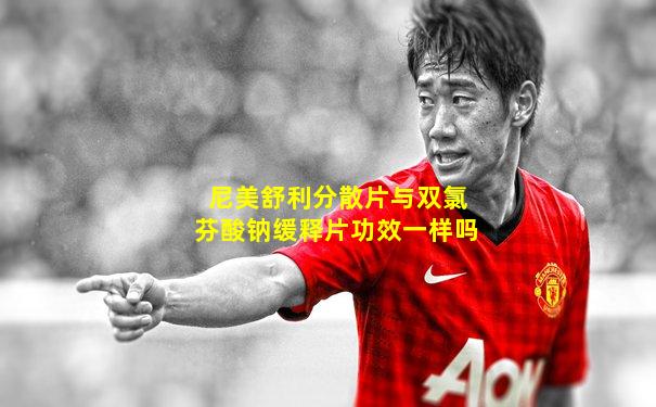 尼美舒利分散片与双氯芬酸钠缓释片功效一样吗