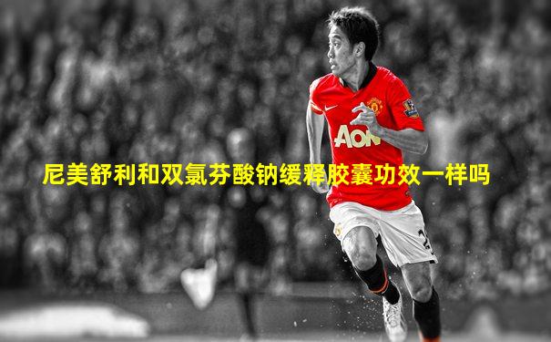 尼美舒利和双氯芬酸钠缓释胶囊功效一样吗