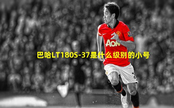 巴哈LT180S-37是什么级别的小号