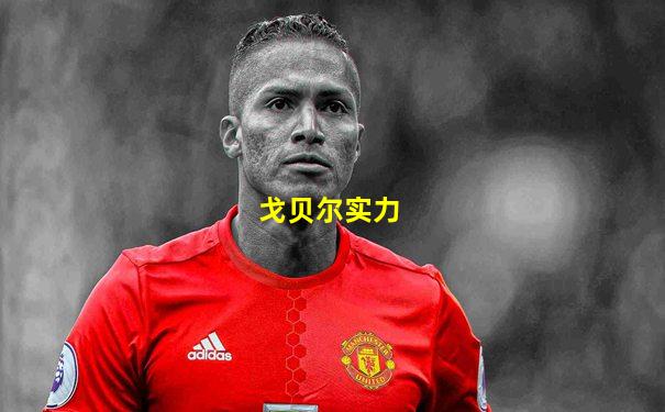 戈贝尔实力
