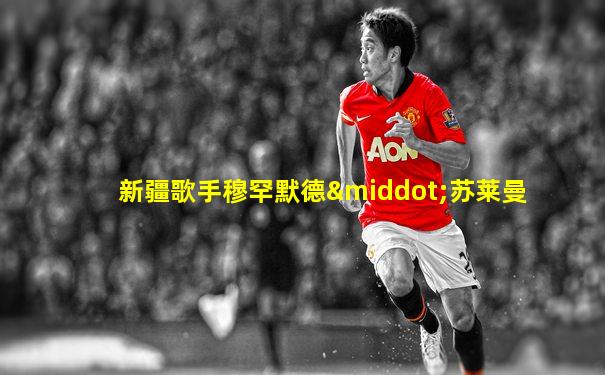 新疆歌手穆罕默德·苏莱曼