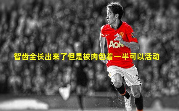 智齿全长出来了但是被肉包着一半可以活动