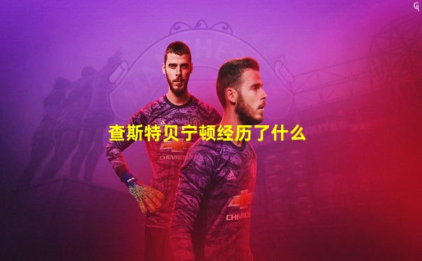 查斯特贝宁顿经历了什么