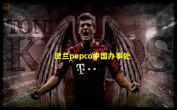 波兰pepco中国办事处