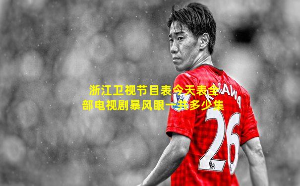 浙江卫视节目表今天表全部电视剧暴风眼一共多少集