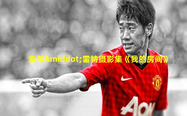 索尔·雷特摄影集《我的房间》