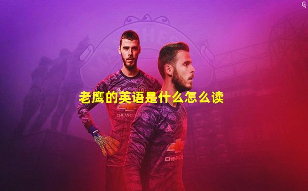 老鹰的英语是什么怎么读