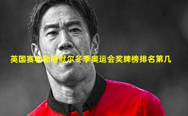 英国赛利勒哈默尔冬季奥运会奖牌榜排名第几