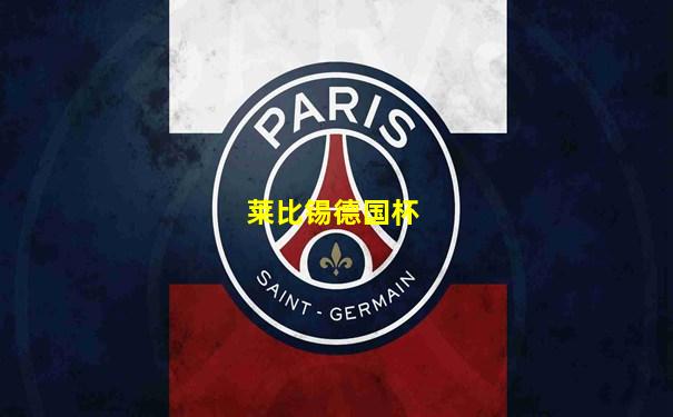 莱比锡德国杯