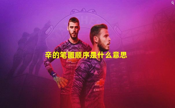 辛的笔画顺序是什么意思