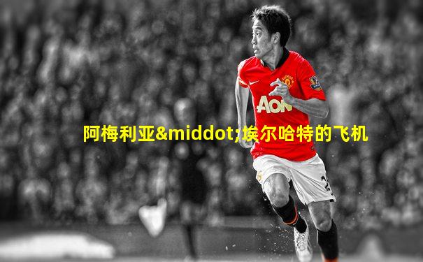 阿梅利亚·埃尔哈特的飞机