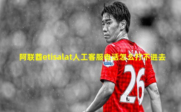 阿联酋etisalat人工客服电话怎么打不进去