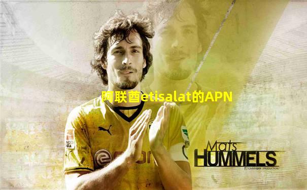 阿联酋etisalat的APN