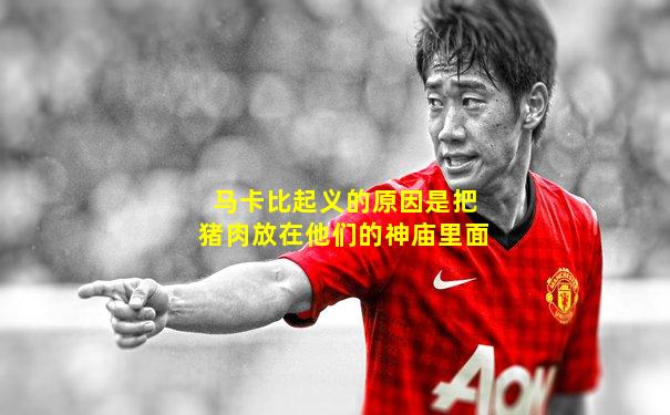 马卡比起义的原因是把猪肉放在他们的神庙里面